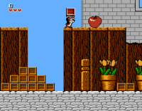 Chip N Dale on NES